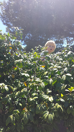 2014-06-28 Miles' Birthday Party 14