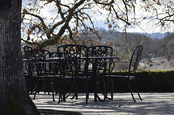 2014-02-02 Healdsburg, CA 221
