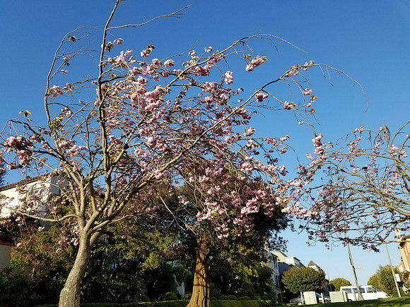 2017-04-14 NY in SF 118