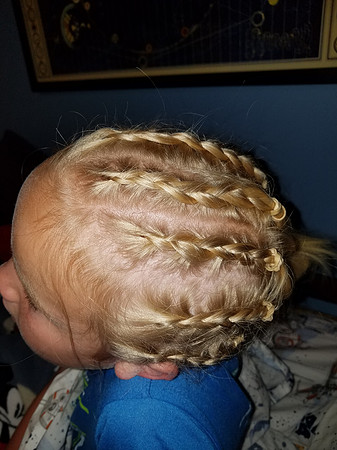 2018-06-02 Braids 11