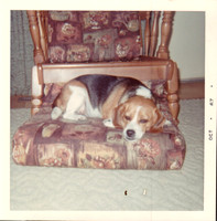 1967 - Blytheville AFB AR - Fancy