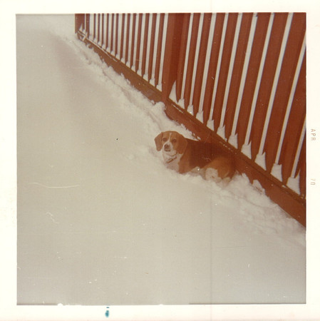 1970 - Fancy