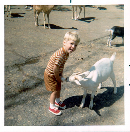 1971 - Stephen