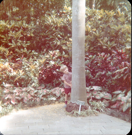 1973 - Stephen