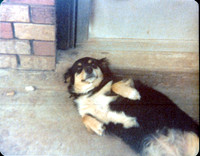 1987 - Bossier City LA - Duchess