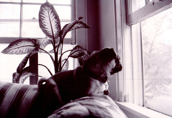 1994 - Shreveport LA - Simon looks at the window 1