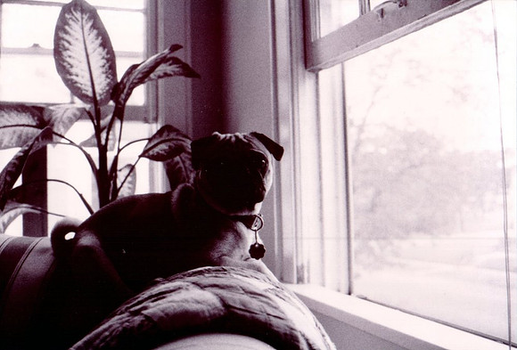 1994 - Shreveport LA - Simon looks at the window 2