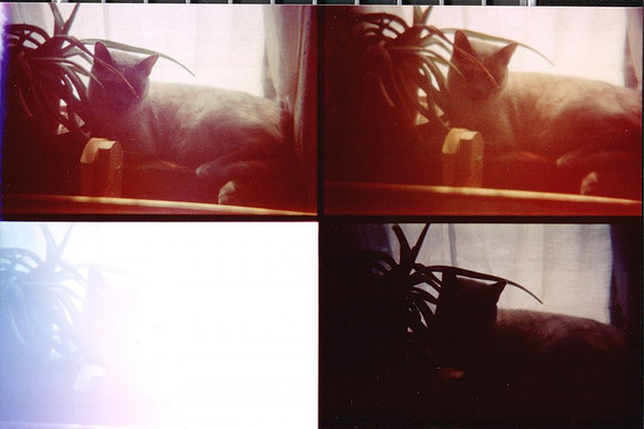 2000 - Shreveport LA - Four Cats