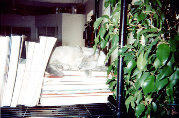 2001 - Shreveport LA - Ilsa at rest 2