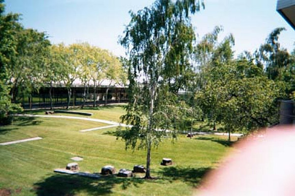 2001-03 - Palo Alto CA - HP Courtyard (overlooked by dining room)