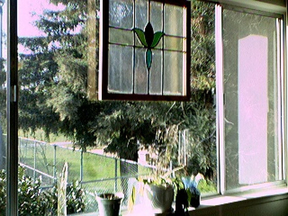 2001-03 - Sunnyvale CA - Fair Oaks Park Through Windowsill