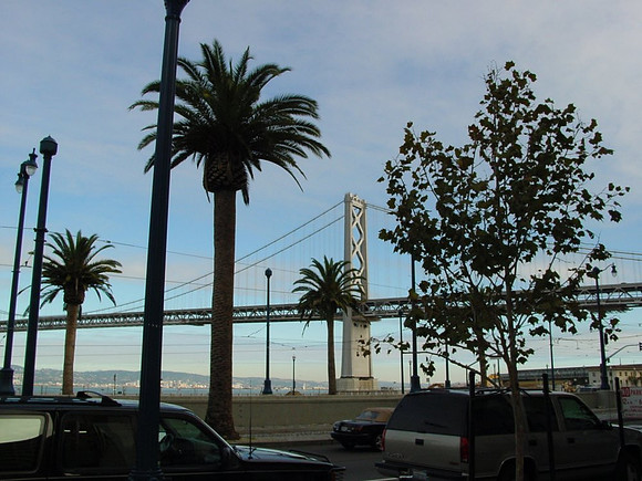 2002-08 - San Francisco CA - Bridge and Palms