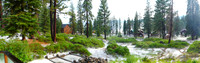 2015-08-02 Tahoe Summer Vacation 599l