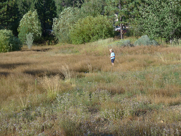 2015-08-05 Tahoe Summer Vacation 453l