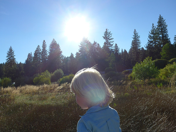 2015-08-05 Tahoe Summer Vacation 462l