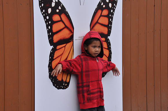 2014-06-12 Trip to the Zoo 194
