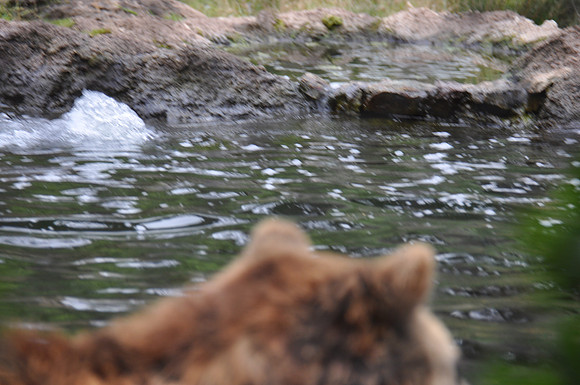 2014-06-12 Trip to the Zoo 168