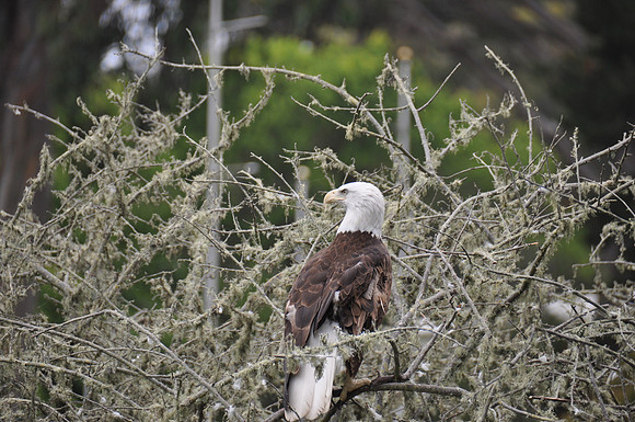 2014-06-12 Trip to the Zoo 193