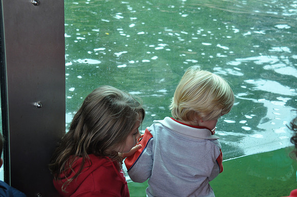 2014-06-12 Trip to the Zoo 173