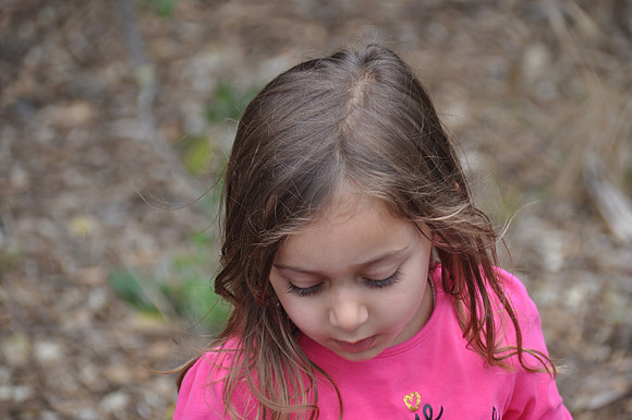 2014-06-12 Trip to the Zoo 327