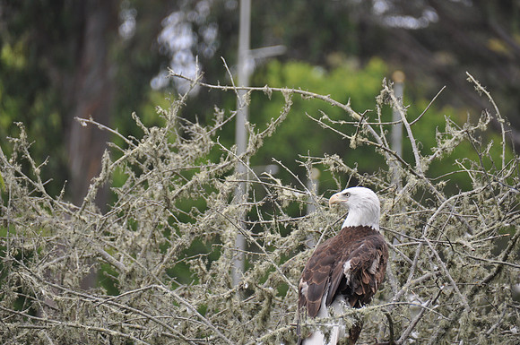 2014-06-12 Trip to the Zoo 191