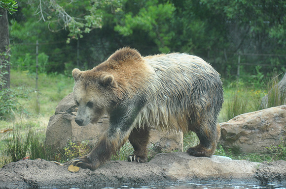 2014-06-12 Trip to the Zoo 180