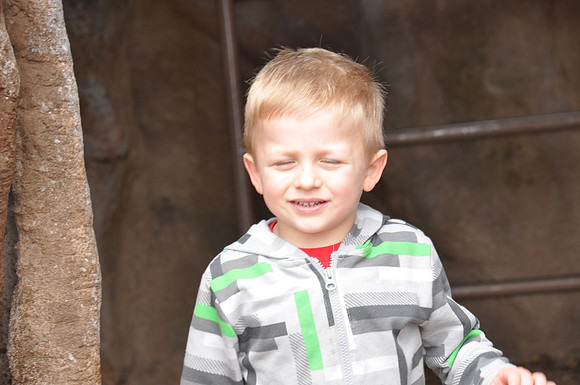 2014-06-12 Trip to the Zoo 402