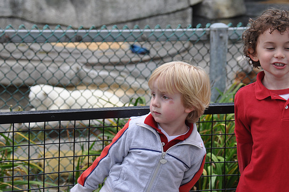 2014-06-12 Trip to the Zoo 153