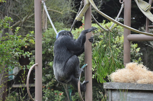 2014-06-12 Trip to the Zoo 088