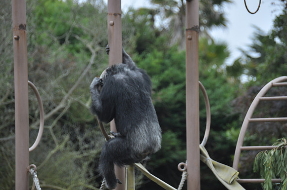 2014-06-12 Trip to the Zoo 087