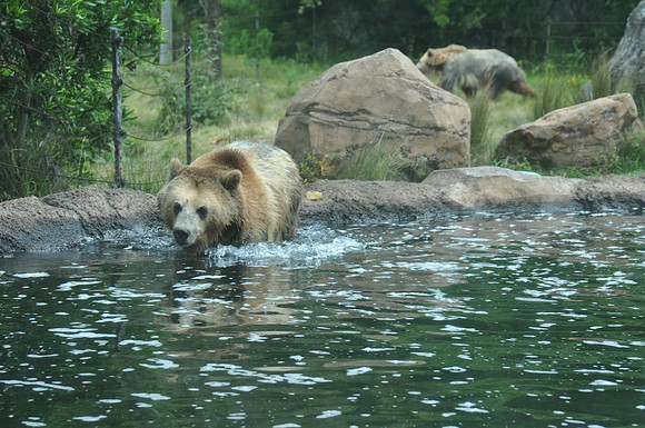 2014-06-12 Trip to the Zoo 182
