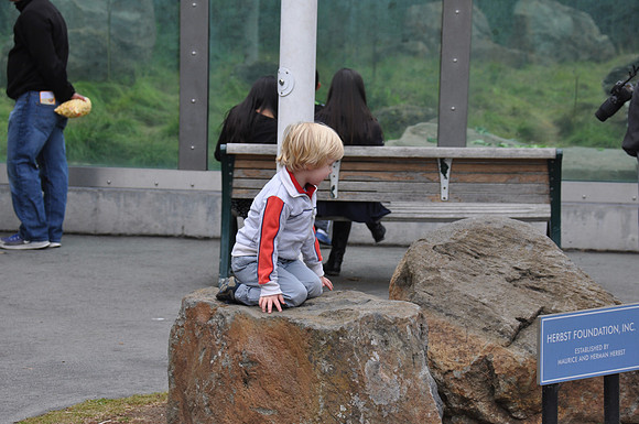 2014-06-12 Trip to the Zoo 159