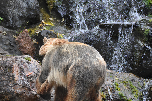 2014-06-12 Trip to the Zoo 169