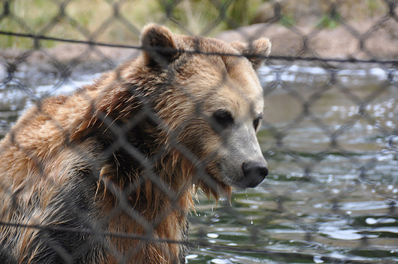 2014-06-12 Trip to the Zoo 166