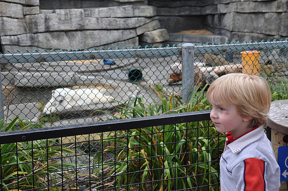 2014-06-12 Trip to the Zoo 152