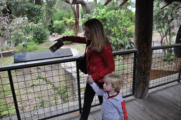 2014-06-12 Trip to the Zoo 097