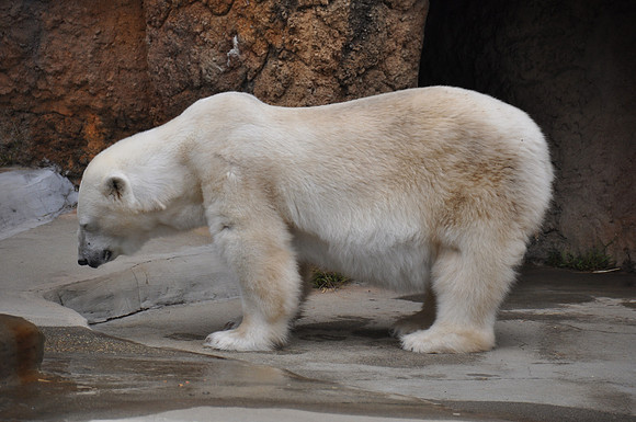 2014-06-12 Trip to the Zoo 146