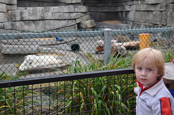 2014-06-12 Trip to the Zoo 151
