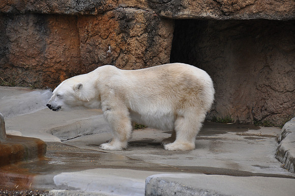 2014-06-12 Trip to the Zoo 147