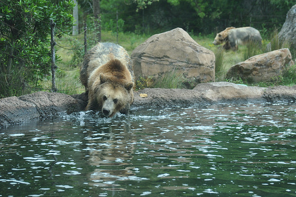2014-06-12 Trip to the Zoo 181