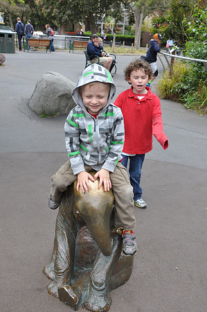 2014-06-12 Trip to the Zoo 286