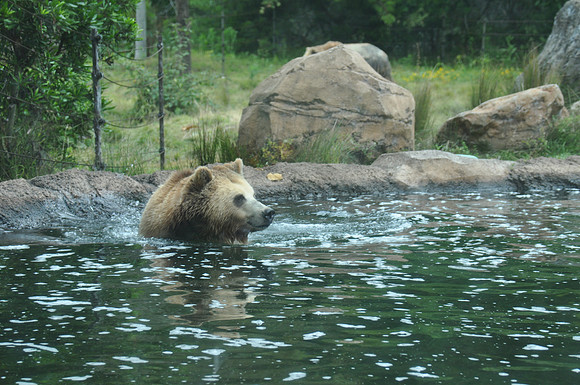 2014-06-12 Trip to the Zoo 183