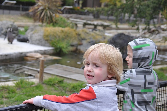 2014-06-12 Trip to the Zoo 248