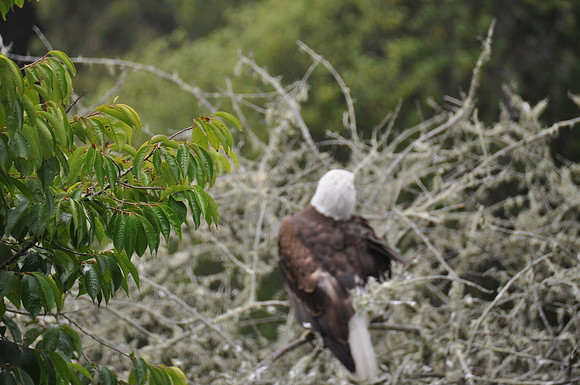 2014-06-12 Trip to the Zoo 190