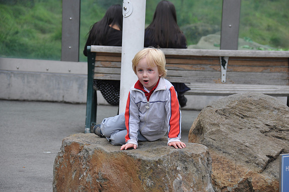 2014-06-12 Trip to the Zoo 158