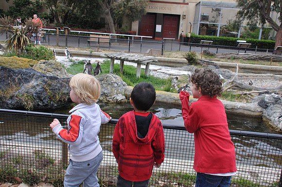 2014-06-12 Trip to the Zoo 252