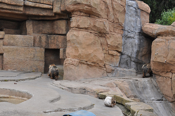 2014-06-12 Trip to the Zoo 154