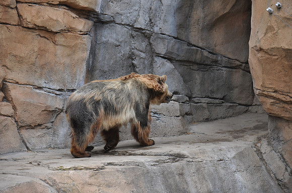 2014-06-12 Trip to the Zoo 155
