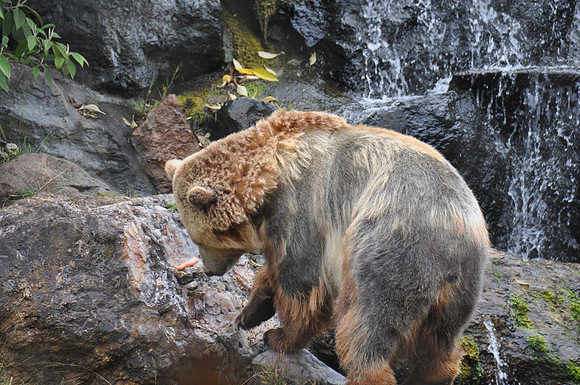 2014-06-12 Trip to the Zoo 171