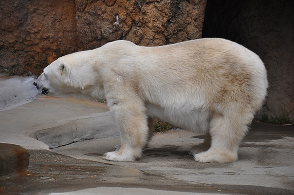 2014-06-12 Trip to the Zoo 145
